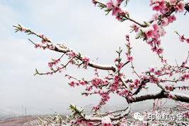 關(guān)于簡(jiǎn)單快樂(lè)的詩(shī)句