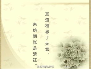 美就在身邊古詩(shī)句