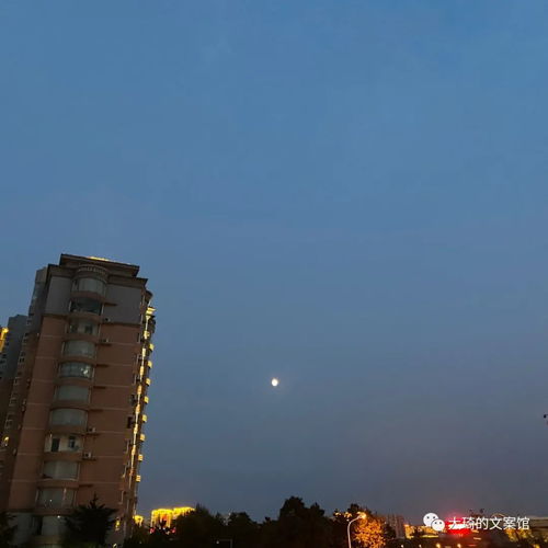 關(guān)于霧消散的詩句