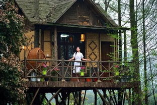 小院,山村,詩句,形容