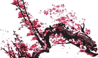 有劍與梅花的詩(shī)句古詩(shī)