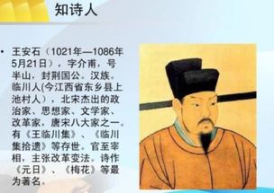 日字在古詩(shī)中解釋為時(shí)候的詩(shī)句