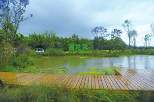 關(guān)于美好鄉(xiāng)村生活場景的詩句初中