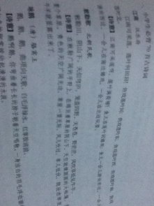 描寫夏天的古詩(shī)句4首