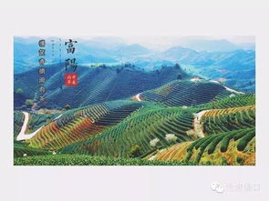 關(guān)于富陽的詩句