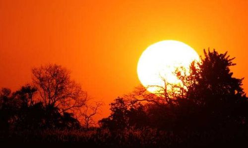 詩句,落日,景象