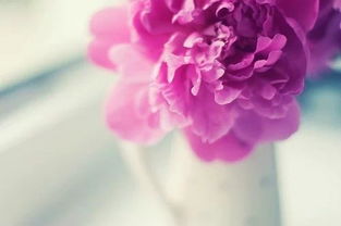 女人心情好的古詩句