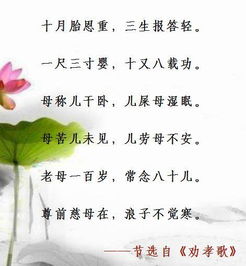 關(guān)于感恩母親的詩句古詩
