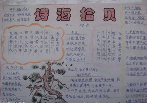 二年級上冊關(guān)于中秋節(jié)的詩句,五年級上冊詩句手抄報,二年級上冊思念故鄉(xiāng)的詩句