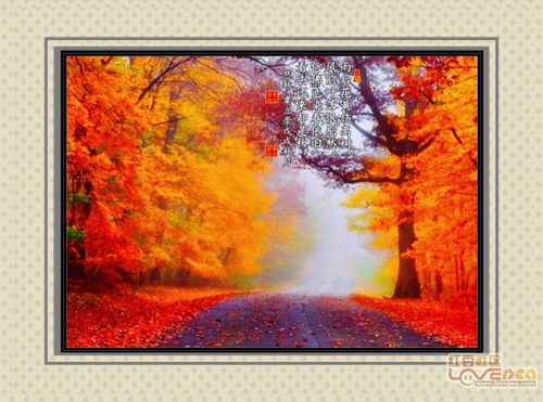 關(guān)于悲秋的現(xiàn)代詩(shī)句