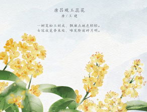 關(guān)于節(jié)氣的詩句兩句