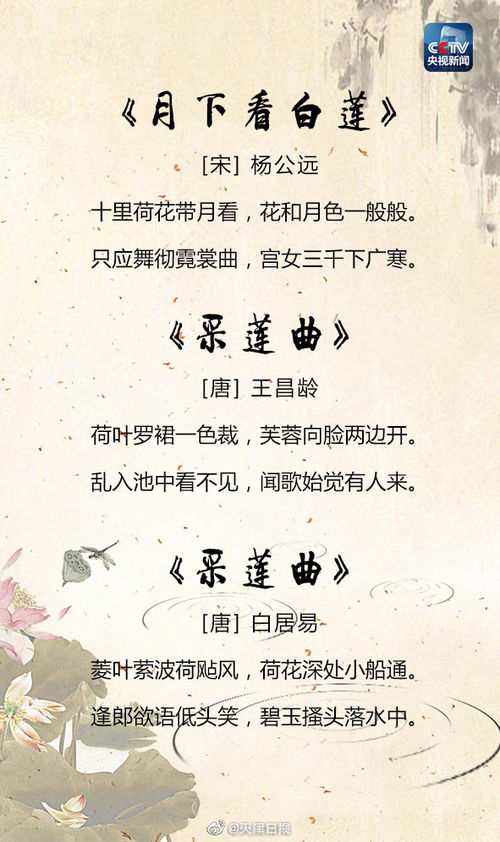 關(guān)于美的詩(shī)句和詞語(yǔ)