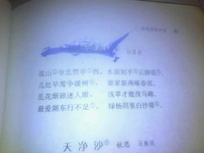 關(guān)于白居易的小草的詩(shī)句