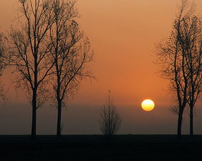 關(guān)于太陽(yáng)星辰的詩(shī)句
