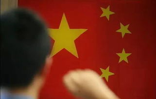 關于檢察人的詩句