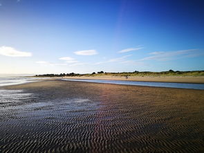 關于海邊天邊的詩句