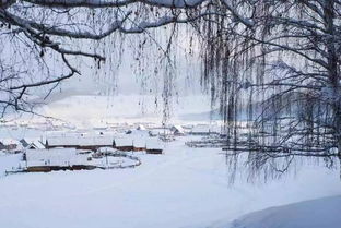 關于冬天傷心的詩句