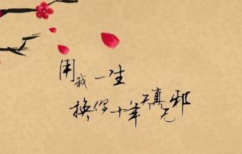 青春古詩句經(jīng)典語錄