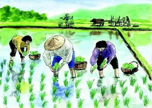 稻花香古詩句子