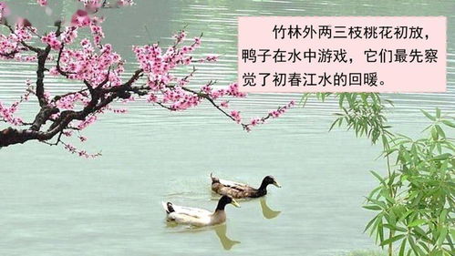 寫山的詩(shī)句古詩(shī)三級(jí)