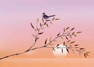 古詩天意憐幽草的詩句現(xiàn)代應(yīng)用