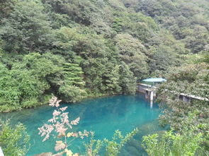 關(guān)于看到瀑布的詩句