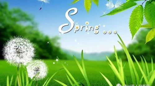 關(guān)于春天保養(yǎng)的詩句