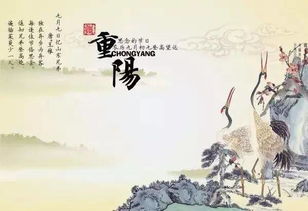 重陽(yáng)節(jié)的詩(shī)句古詩(shī)大全五言絕句,描寫重陽(yáng)節(jié)的詩(shī)句古詩(shī)大全,重陽(yáng)節(jié)敬老的詩(shī)句古詩(shī)大全