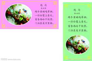 關(guān)于鳥的詞語和古詩句