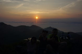 關于登上山頂看見感慨詩句