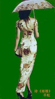 雨后的樹林古詩句