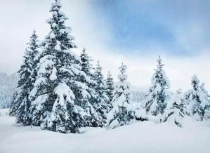 搜索關(guān)于寫(xiě)雪的名詩(shī)句