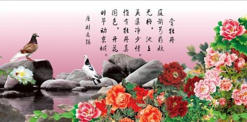 關(guān)于牡丹的詩(shī)句自創(chuàng)