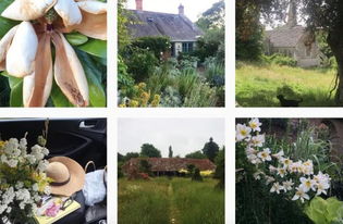 關(guān)于住在森林的詩句