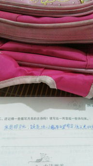 關于月亮的詩句200字