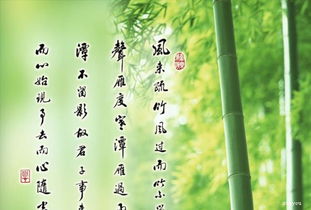 關(guān)于逆境成功名言詩句