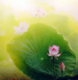 盛夏荷花的美好詩句,描寫荷花的美好詩句,描寫荷花美好品質(zhì)的詩句