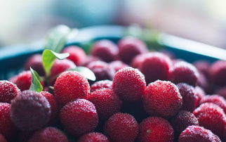 關(guān)于楊梅的古詩(shī)句