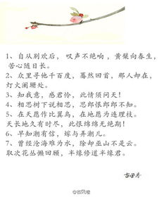 關(guān)于愛情慢慢來的詩句