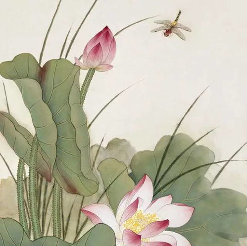 含有荷花的古詩句.