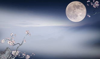 中秋節(jié)思念親人詩句古詩詞