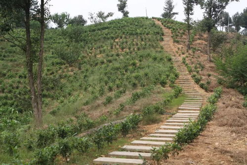 關(guān)于描寫小村的詩(shī)句