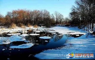 詩句,美景,冬季