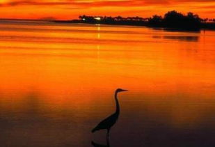 關(guān)于書中的風(fēng)景詩句