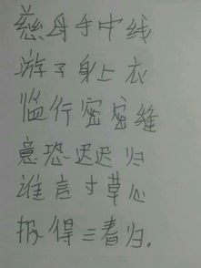 關(guān)于公頁(yè)母愛(ài)的詩(shī)句