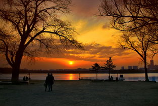 思鄉(xiāng),詩(shī)句