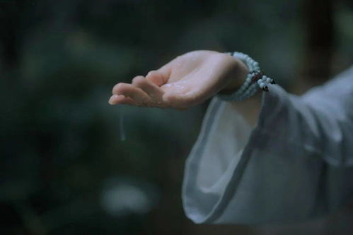 關(guān)于命運苦的詩句