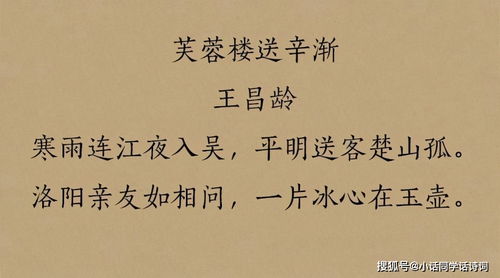 詩句,更是,閱讀