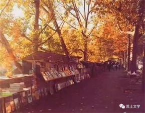 秋天落葉落了的詩句古詩詞