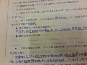 關于親情的作文標題新穎有詩句